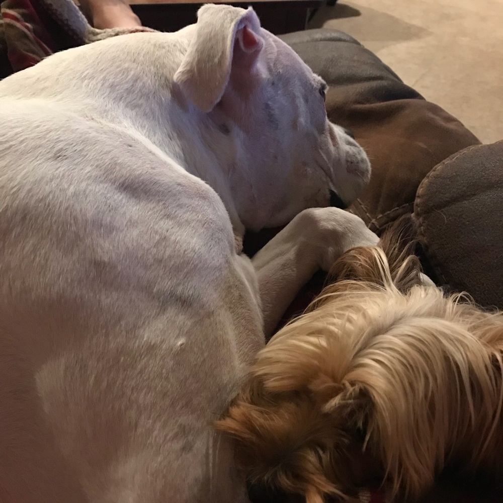 Meet your Posher, Charisa